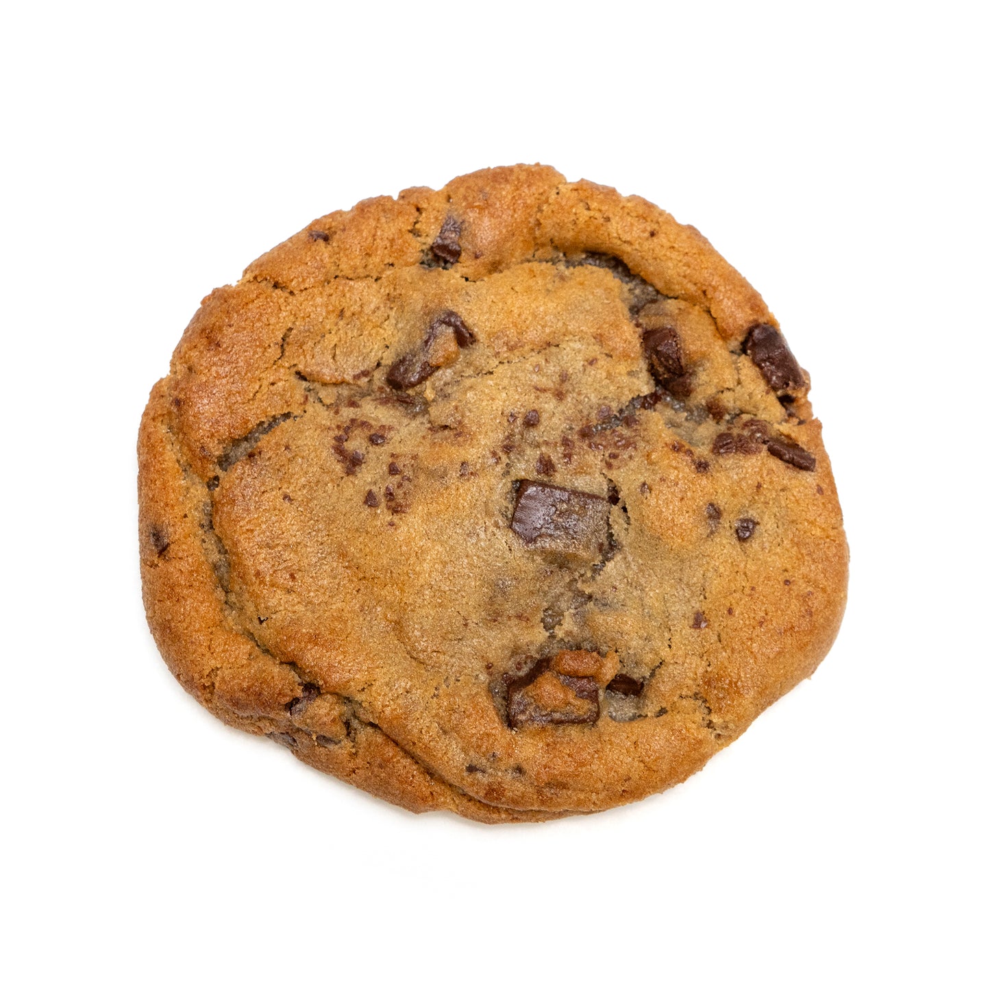 Chocolate Chip Cookie