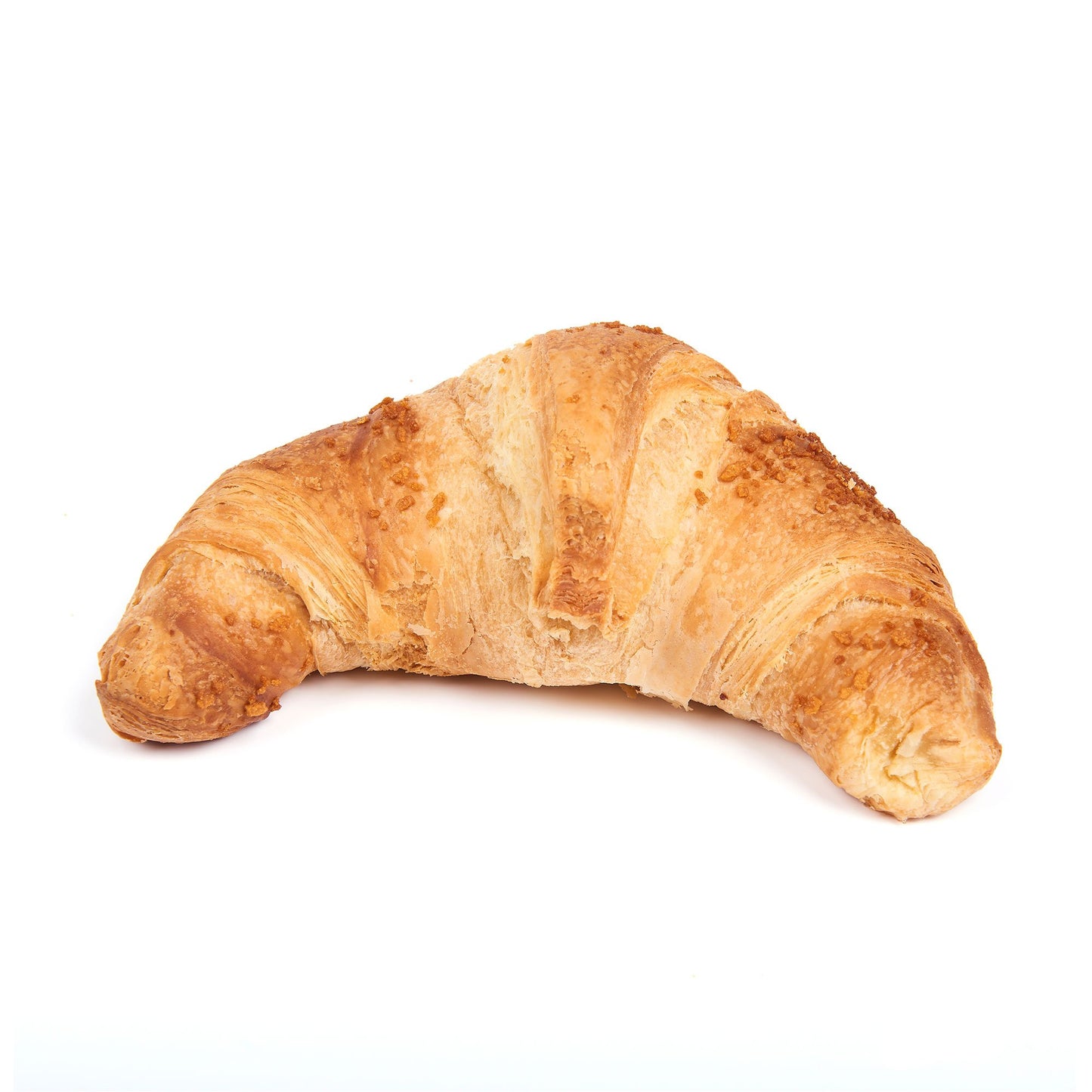 Plain Croissant