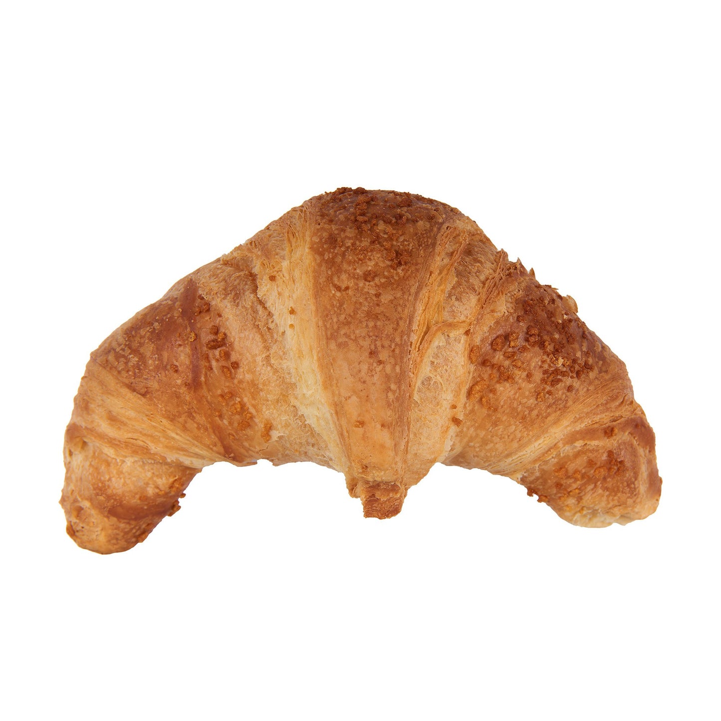 Plain Croissant