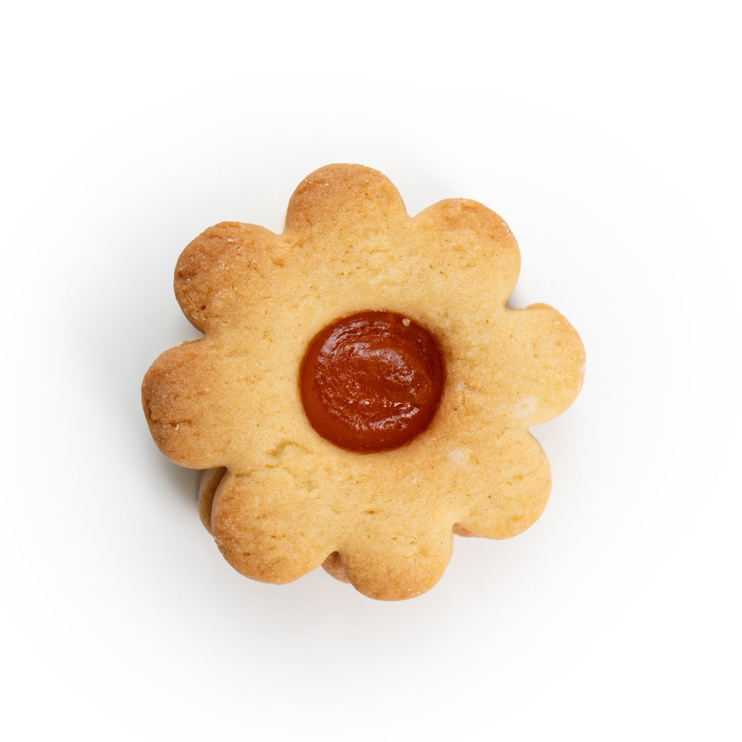 Apricot & Nutella Cookies